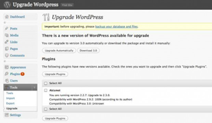WordPress Upgrade