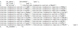 An example of a malware payload