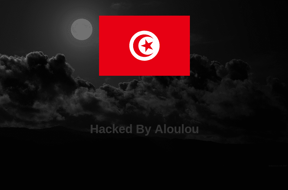 Defaced-Hacked-Website-Aloulou