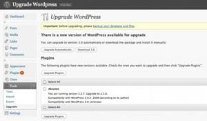WordPress Upgrade