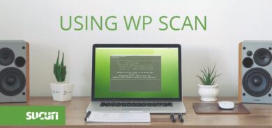 Using WP Scan