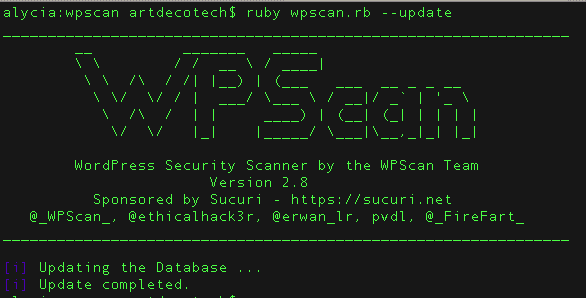 WP Scan Database Update in Terminal