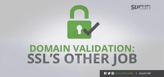Domain Validation: SSL’s Other Job