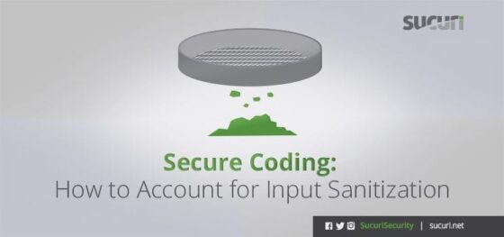 Secure Coding: How to Account for Input Sanitization