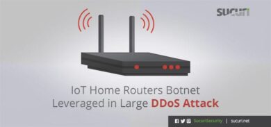 IoT home router ddos attack