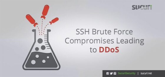 SSH Brute Force Compromises Leading to DDoS