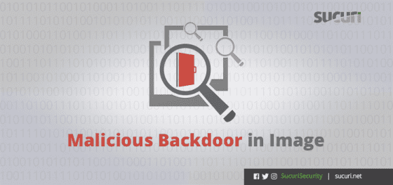 Malicious Backdoors: Fake Images and Strrev Functions