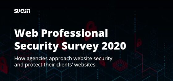 Web Professional Security Survey 2020