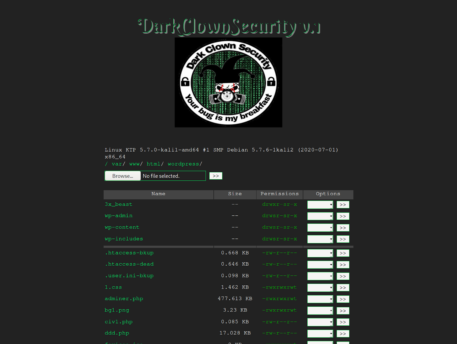 Dark Clown Security Obfuscated Backdoor