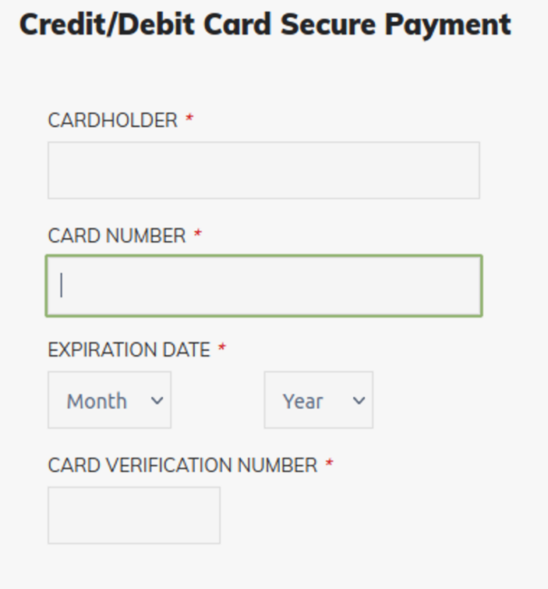 Fake payment form