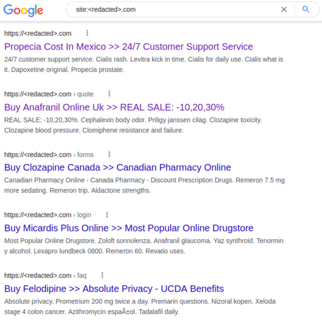 Example of SEO spam in search results.