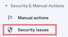 Google Search Console > Security Issues