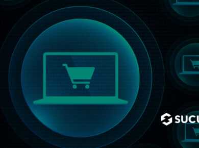 How to secure your ecommerce website: an ecommerce security primer