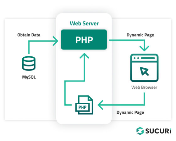 What Is ‘Error Establishing a Database Connection’ & How To Fix It in ...