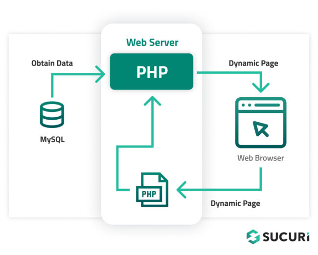 How a WordPress database connects with MySQL server and PHP functions to serve website content