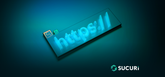 HTTPS Protocol: What is the Default Port for SSL & Common TCP Ports