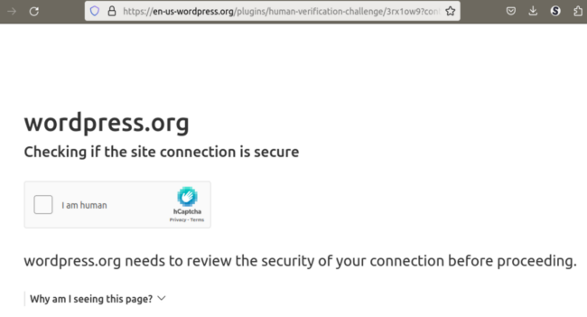 WordPress captcha challenge check if site is secure