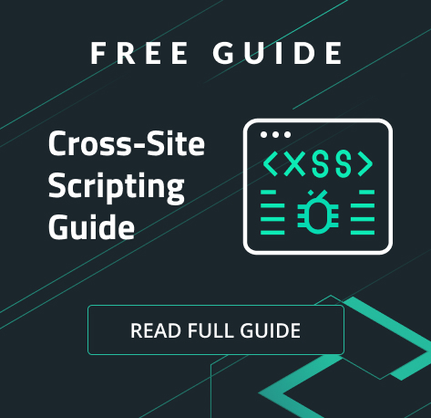 Cross-Site Scripting Guide Sidebar