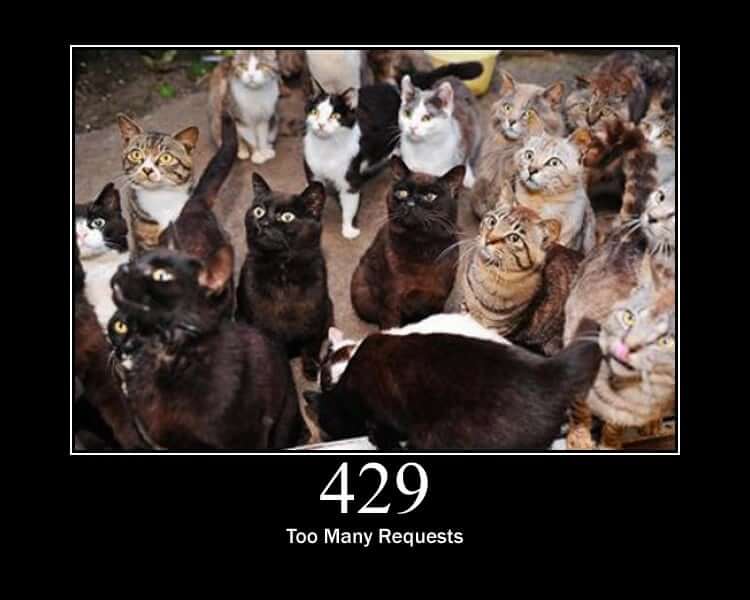 429 - Too many requests