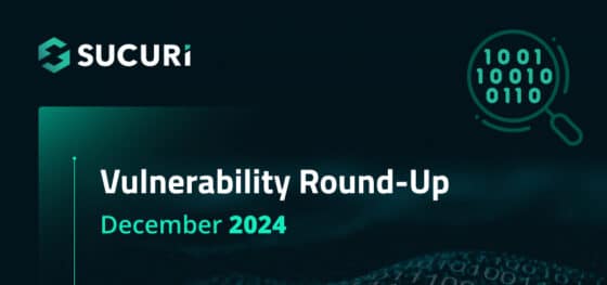 Vulnerability & Patch Roundup — December 2024