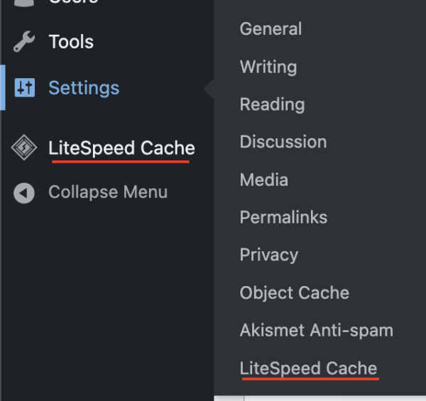 typical caching plugin settings
