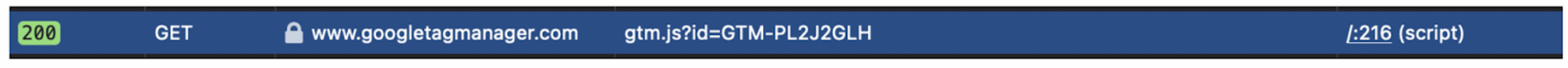 Google Tag Manager script