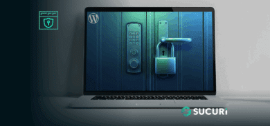 Locking Down Your WordPress Login Page