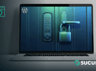 Locking Down Your WordPress Login Page