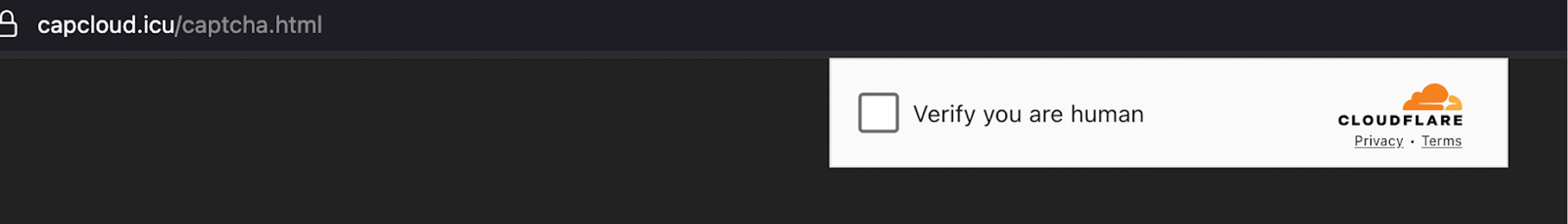 fake cloudflare verification page