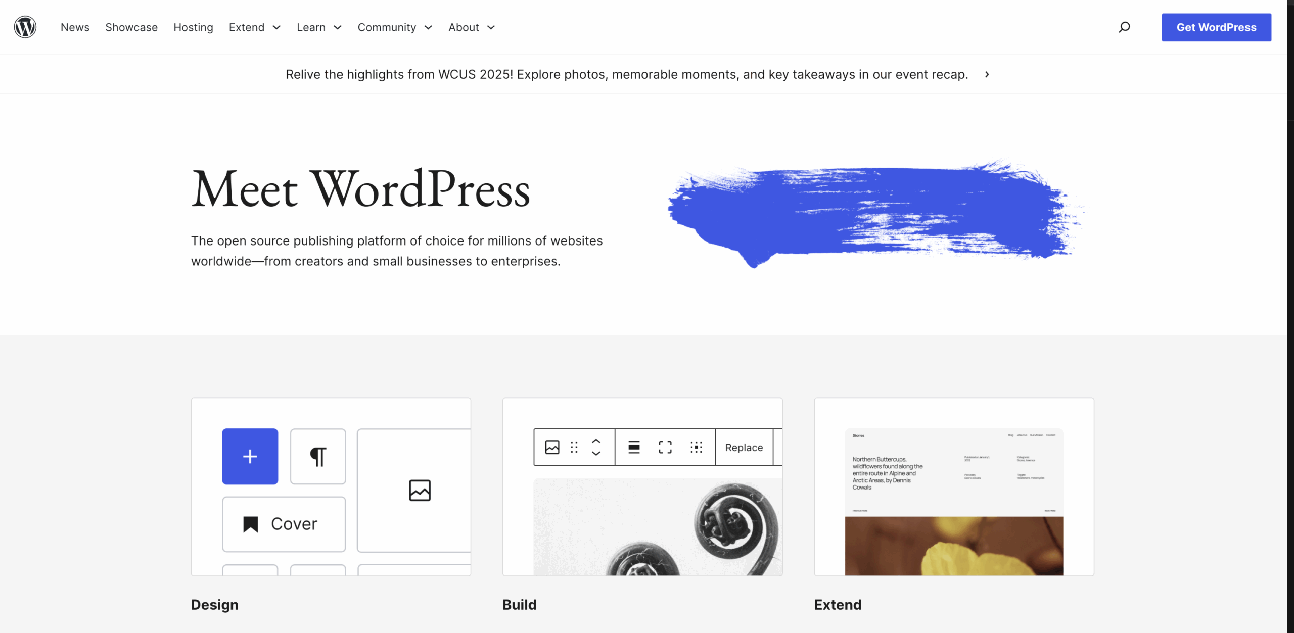WordPress homepage