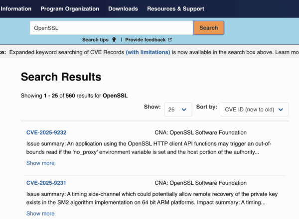 CVE.org search