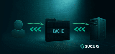 How to Choose WordPress Caching Options