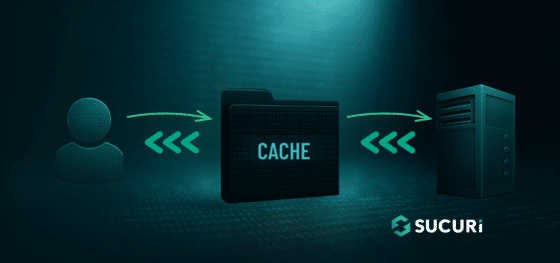 How to Choose WordPress Caching Options