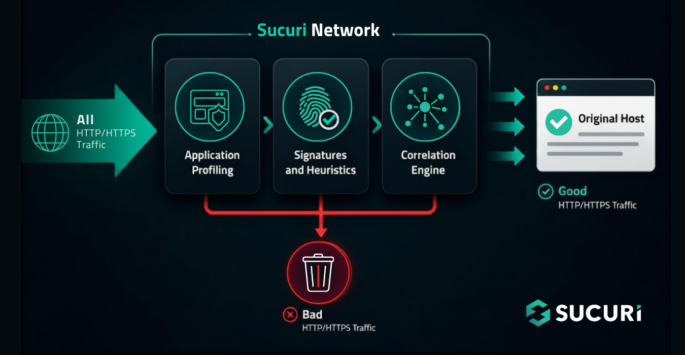 Visual example of the Sucuri network